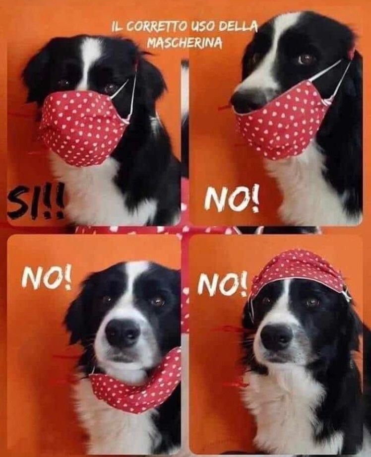 MASCHERINE SI... MA QUALI?